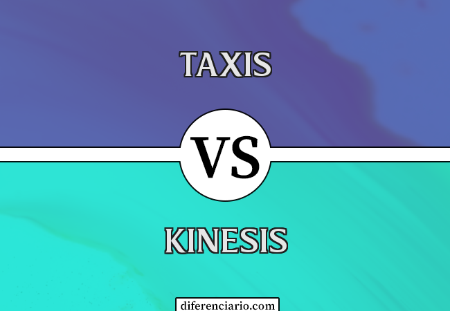 Diferença entre Taxis e Kinesis