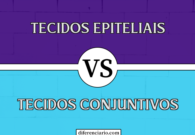 Diferença entre tecidos epiteliais e tecidos conjuntivos