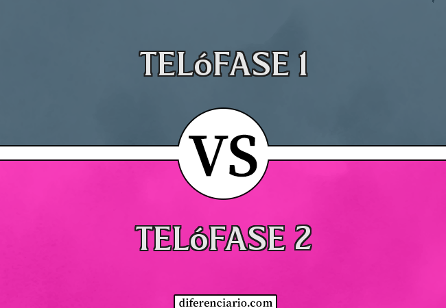 Diferença entre a telófase 1 e a telófase 2