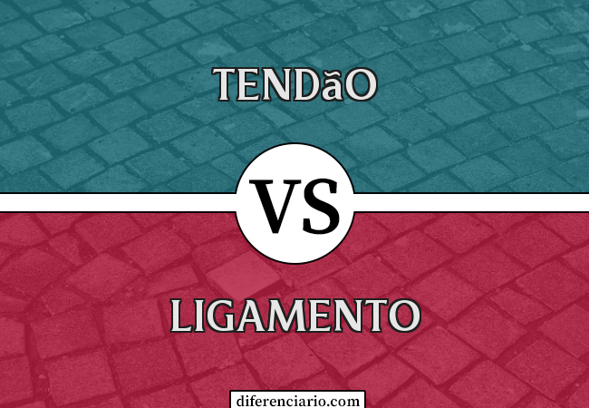 Diferença entre tendão e ligamento