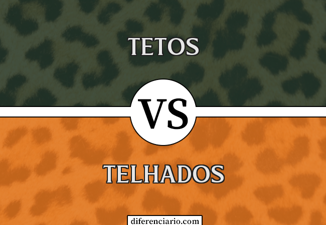 Diferença entre tetos e telhados