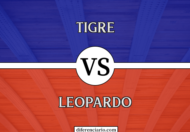 Diferença entre tigre e leopardo