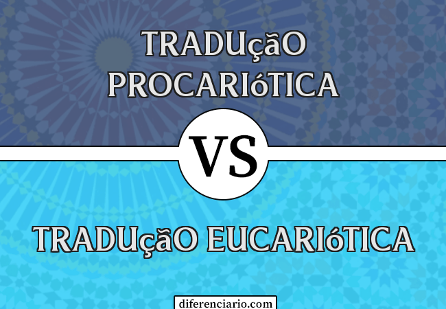 Diferença entre tradução procariótica e tradução eucariótica