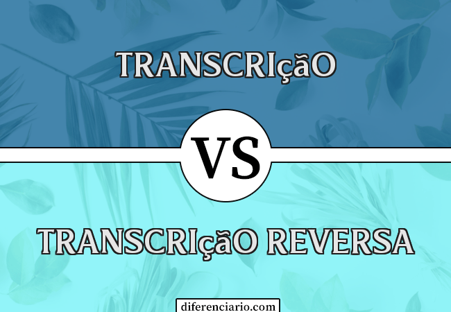 Diferença entre transcrição e transcrição reversa