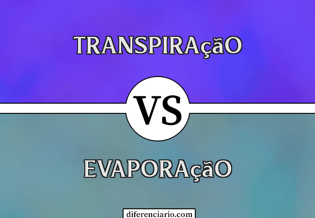 Diferença entre transpiração e evaporação