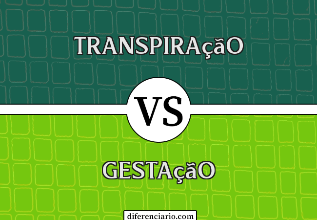 Diferença entre transpiração e gestação