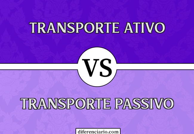 Diferença entre transporte ativo e transporte passivo