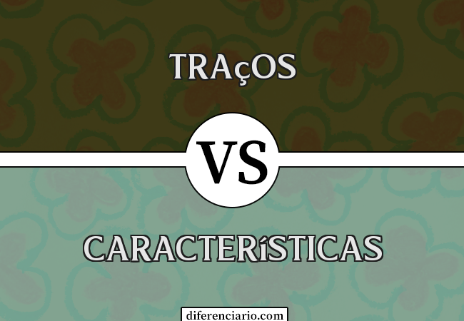 Diferença entre traços e características