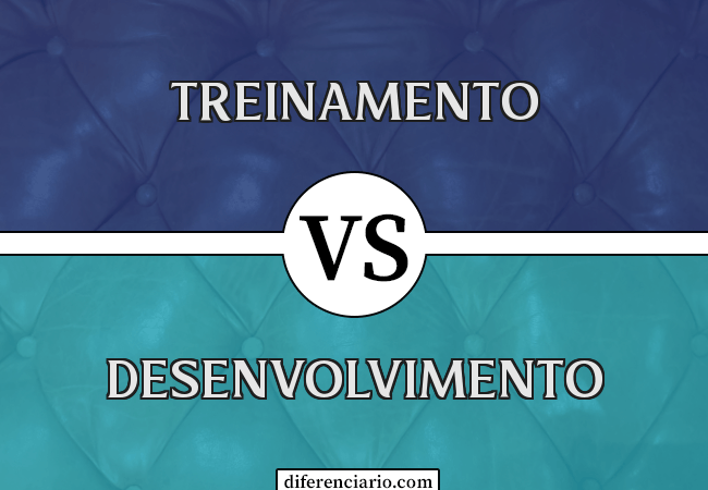 Diferença entre treinamento e desenvolvimento