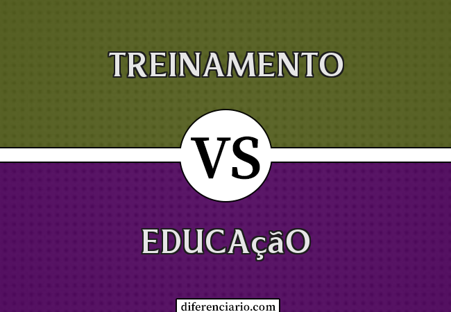 Diferença entre treinamento e educação