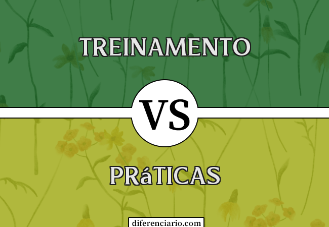 Diferença entre Treinamento e Práticas