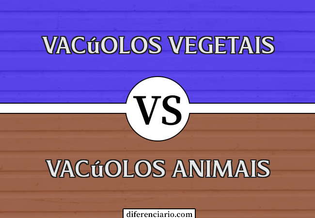 Diferença entre Vacúolos Vegetais e Vacúolos Animais