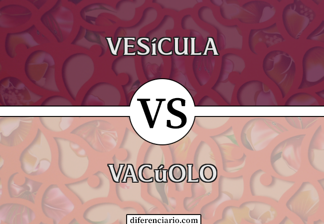 Diferença entre vesícula e vacúolo