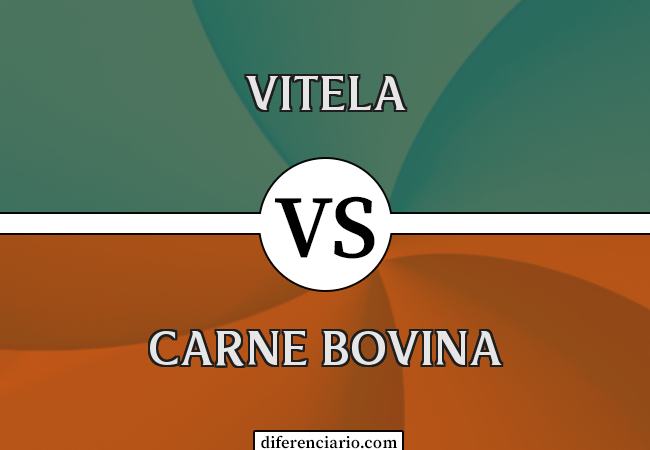 Diferença entre vitela e carne bovina