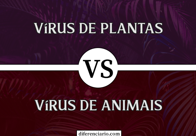 Diferença entre vírus de plantas e vírus de animais