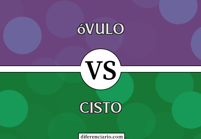 Diferença entre óvulo e cisto