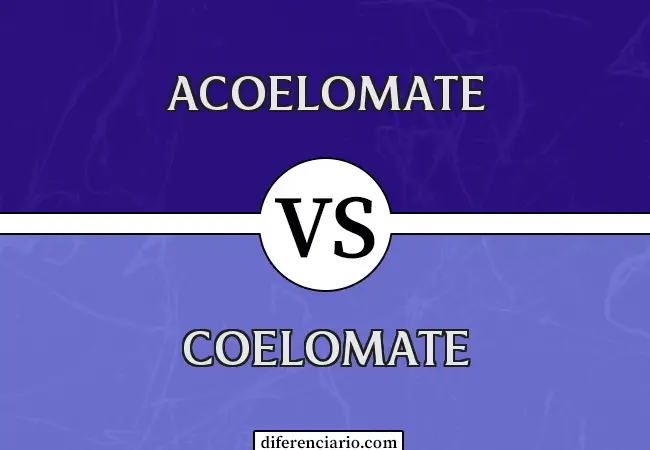 Diferencia entre Acoelomate y Coelomate