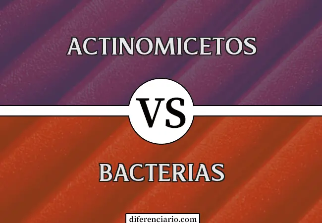 Diferencia entre Actinomicetos y Bacterias