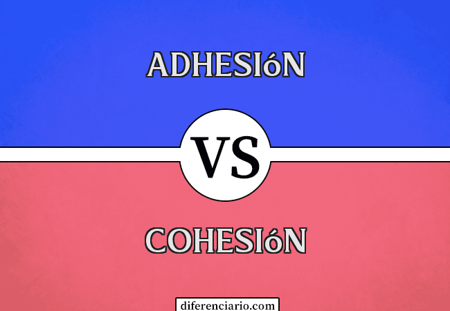 Diferencia entre Adhesión y Cohesión
