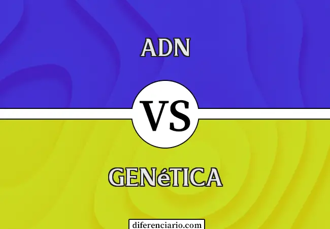 Diferencia entre ADN y genética