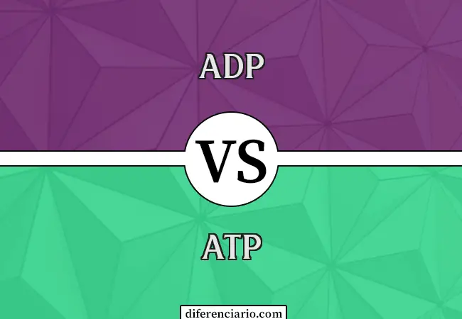 Diferencia entre ADP y ATP