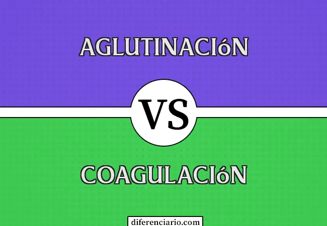 Diferencia entre aglutinación y coagulación