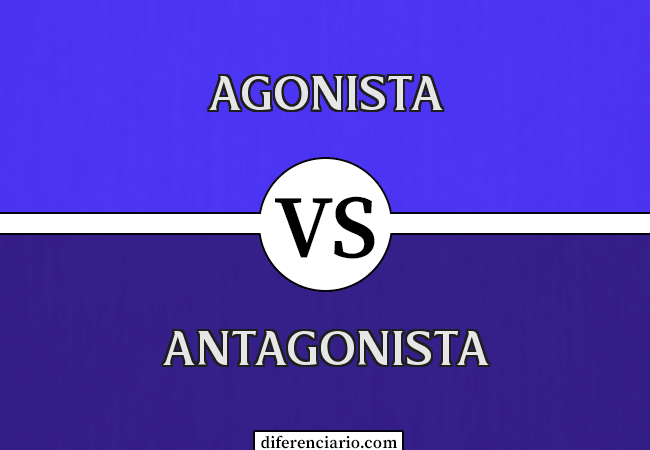 Diferencia entre agonista y antagonista