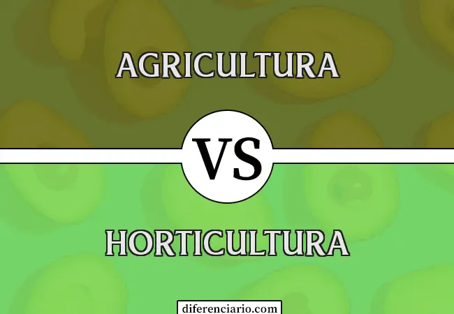 Diferencia entre agricultura y horticultura