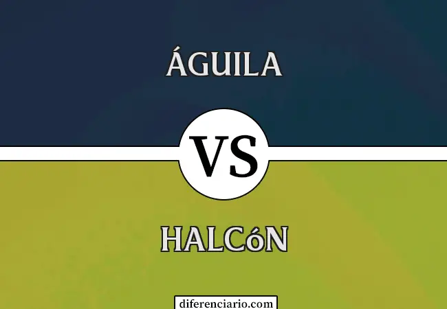 Diferencia entre Águila y Halcón