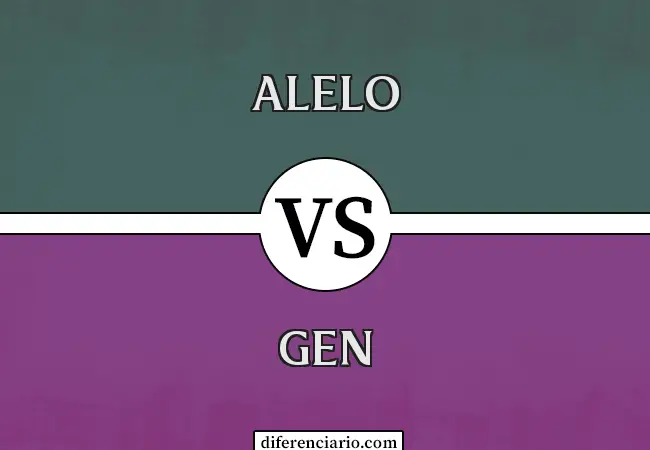 Diferencia entre alelo y gen