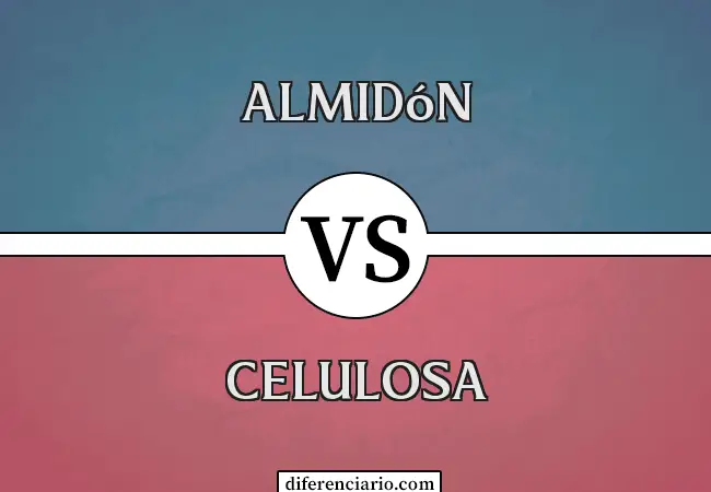 Diferencia entre almidón y celulosa