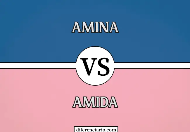 Diferencia entre amina y amida