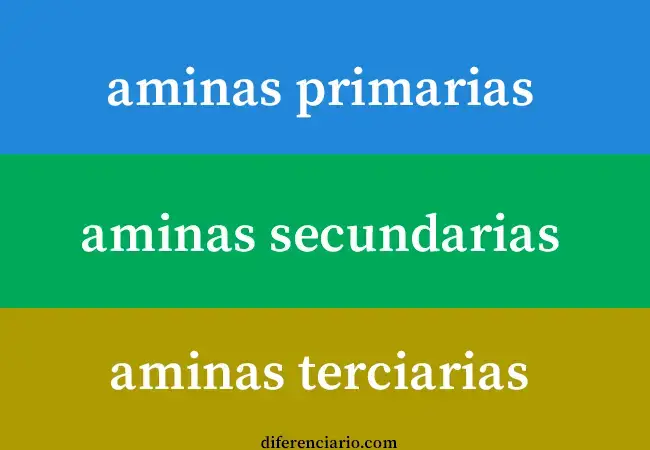 Diferencia entre aminas primarias,  aminas secundarias y aminas terciarias