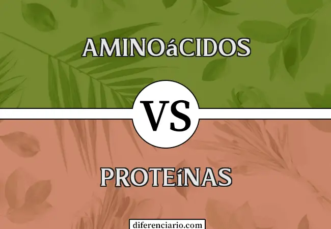 Diferencia entre Aminoácido y Proteínas