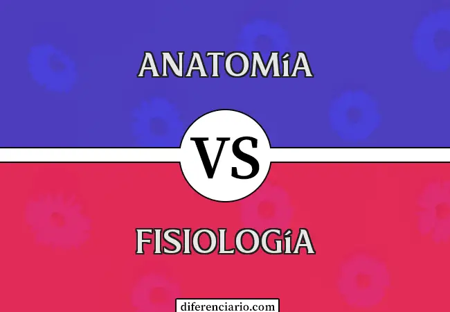 Diferencia entre Anatomía y Fisiología