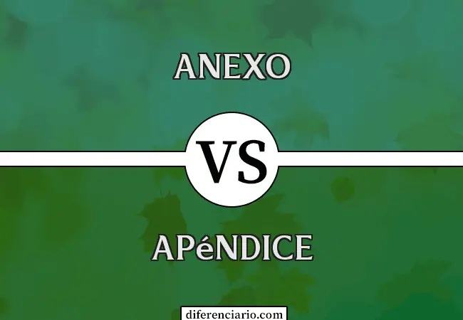 Diferencia entre anexo y apéndice