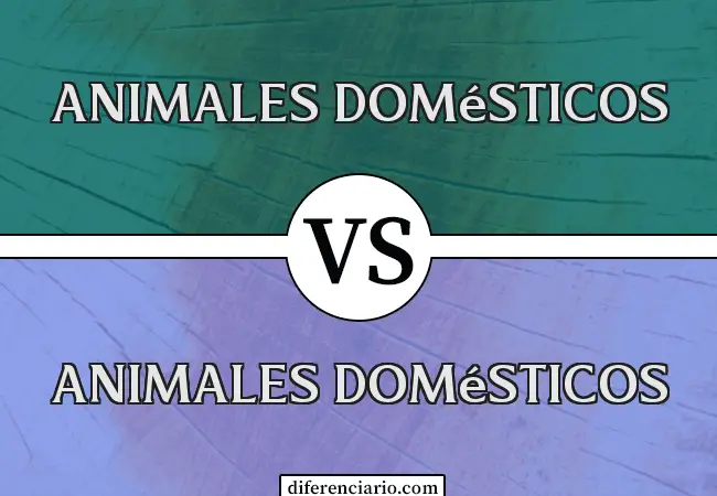 Diferencia entre animales de compañía y animales domésticos