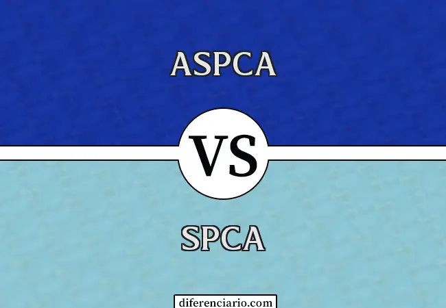Diferencia entre ASPCA y SPCA