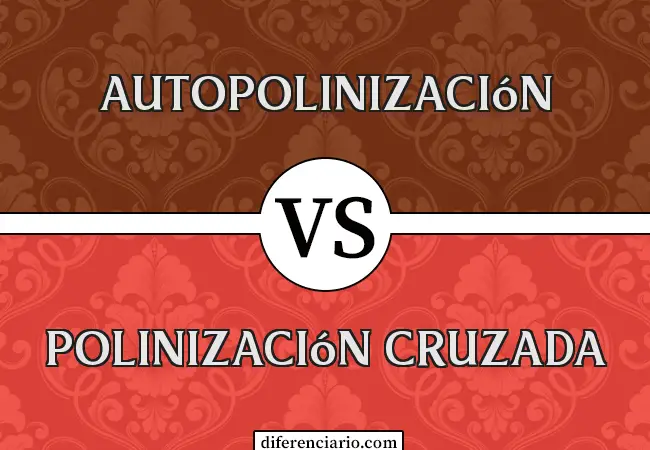 Diferencia entre autopolinización y polinización cruzada
