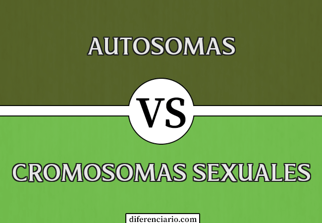Diferencia entre autosomas y cromosomas sexuales