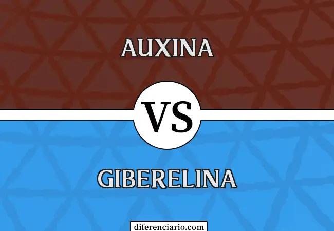 Diferencia entre Auxina y Giberelina