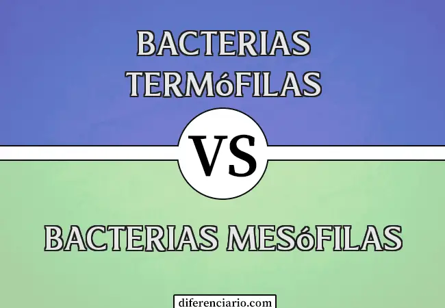 Diferencia entre Bacterias Termófilas y Bacterias Mesófilas