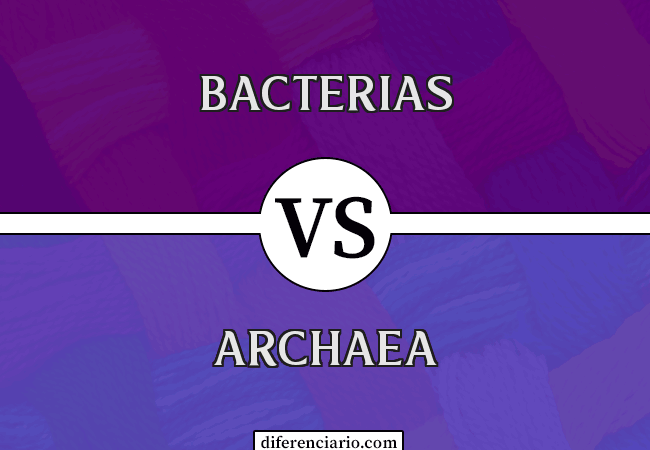 Diferencia entre Bacteria y Archaea