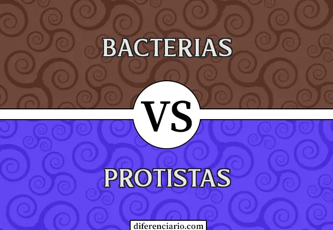 Diferencia entre Bacterias y Protistas