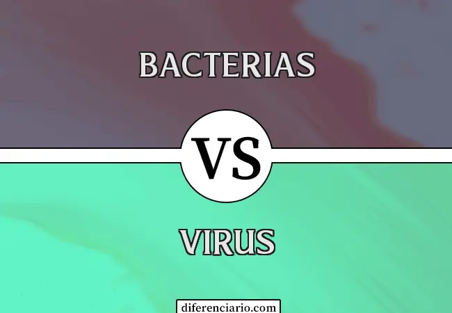 Diferencia entre bacteria y virus