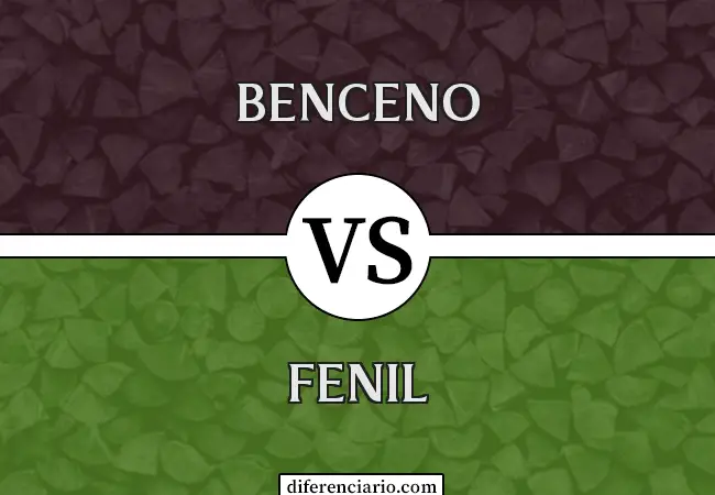Diferencia entre benceno y fenilo