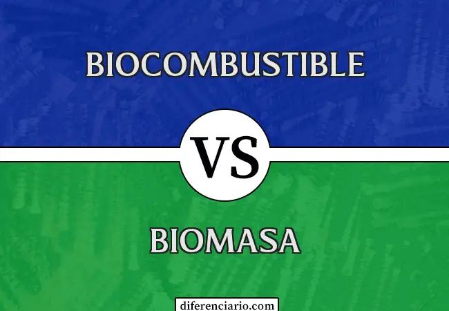 Diferencia entre biocombustible y biomasa
