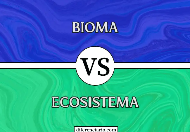Diferencia entre bioma y ecosistema