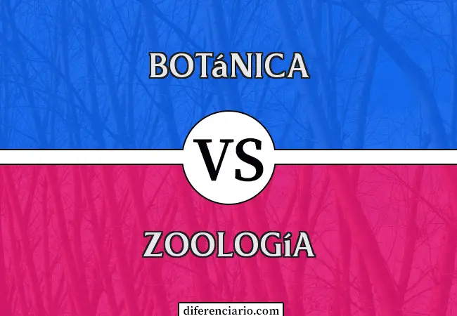 Diferencia entre botánica y zoología