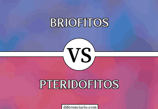 Diferencia entre briofitas y pteridofitas
